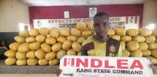 NDLEA destroys 3 tons of skunk in Edo forest, seizes 76.9kg Loud from Canada. Recovers 390kg illicit drugs in Kano, Kaduna, Borno, Oyo raids