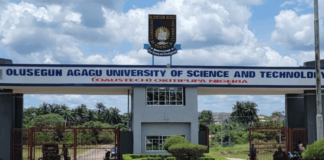 OAUSTECH: We’re addressing issue of mass retrenchment – Management