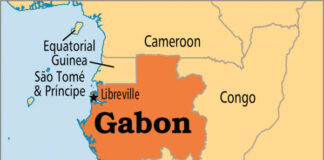 Gabon to hold general elections in August