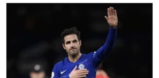 Fabregas Announces Retirement From Professional Football