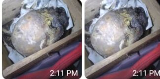Crime: Police nab boutique owner in Ondo with human parts, commence further investigation