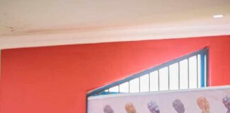 NFF YOUTH COMMITTEE APPOINTMENT: Ondo Sports Commissioner Ologunloluwa Thumps Up Ibrahim Gusau.