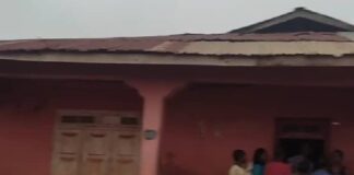 Bizzare: woman reportedly turn into cat in Akure