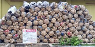 Drug baroness, 4 kingpins arrested as NDLEA busts 3 syndicates in Lagos. Recovers 2.7 million pills of Tramadol, 62.29kg Cocaine, Ephedrine, Loud; seizes over 13tons of skunk in 4 states