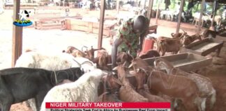 Political strategists seek end to Coup in Africa as businesses reel from impact