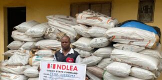 NDLEA intercepts ephedrine, skunk, laughing gas consignments at Lagos airport