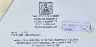 The many sins of Aiyedatiwa – ODHA