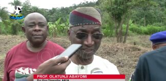 AAUA stresses environmental and social benefits of tree planting