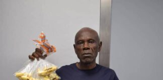 NDLEA arrests 67-year-old at Abuja airport for ingesting 100 wraps of cocaine. Nabs Saudi-bound lady with 52 pellets at Kano airport; destroys over 11 tonnes of cannabis in Ogun, Edo forests