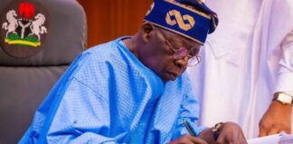 Tinubu makes fresh appointment