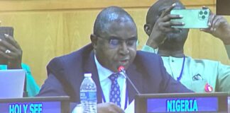 NDLEA planning alternative development to illicit drug production – Marwa