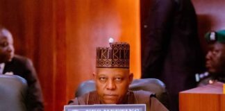 NEC: We Must Develop Our Agric Sector To Self-sufficiency, VP Shettima Tells Governors