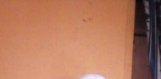 Princess Folashade Faleye- Otubambo becomes Regent of Aponmu Kingdom