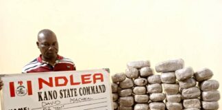 Qatar-based businessman, others to spend New Year in custody over drug trafficking. As NDLEA intercepts drug consignment going to bandits in Kebbi, Zamfara, arrests supplier