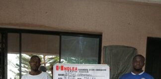 NDLEA intercepts 7.5m tramadol pills, 95,400 codeine bottles Christmas consignments. Arrests 70-year-old grandma, her son for drug trafficking as Agency’s sniffer dogs uncover cocaine in India-bound shipment