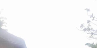 Tears , As sunshine stars Fc Buries Taiwo Dosunmu.