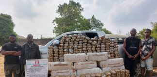 NDLEA intercepts large consignment of Canadian Loud in Lagos, UK, Italy-bound opioids. Seizes 300,000 tramadol pills from Pakistan; busts skuchies factory in Ibadan
