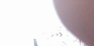 Nabeeha Killing: Police apprehend suspected abductor