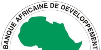 AfDB pledges investment in Nigeria’s critical sectors