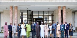 Nigerian military capable of containing banditry like insurgency – Marwa.