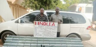 NDLEA arrests businessman at Kano airport for body packing large consignment of cocaine. Nabs ex-convict, businesswoman over Italy, South Africa-bound drug shipments at Lagos airport; recovers 1million pills of opioids in Borno, Anambra raids