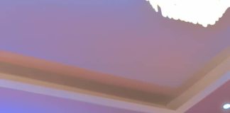 A Heartfelt Tribute to Our Visionary Leader: Happy Birthday, Kenneth Odusola-Stevenson