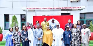 NDLEA, NAPTIP set up teams to strengthen collaboration against drug, human trafficking